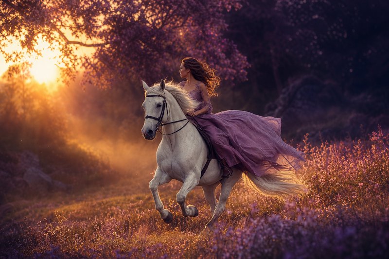 Star Stable Online — cavallerizza su cavallo bianco in un paesaggio fantastico